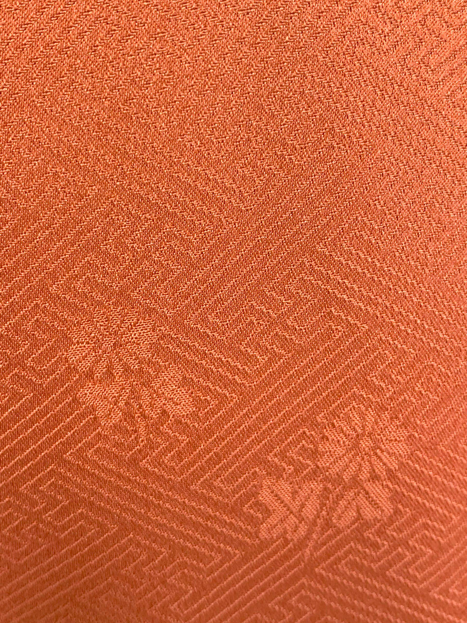LONG-ORANGE枝垂桜-HBSOH2402K